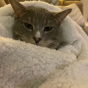 Meet your Posher, Lisa